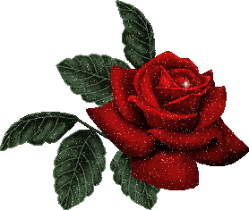 rote Rose.png2